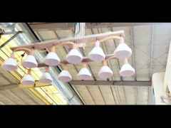 Heiß verkaufte Keks-Mason-Glas-Glas aus Kunststoff mit niedrigem Preis